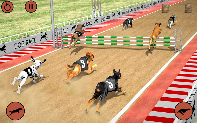 Cách Chơi Game Nhanh Đua Chó Tại GO88 Để Săn Thưởng 2 Cách Chơi Game Nhanh Đua Chó Tại GO88 Để Săn Thưởng
