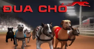 Cách Chơi Game Nhanh Đua Chó Tại GO88 Để Săn Thưởng